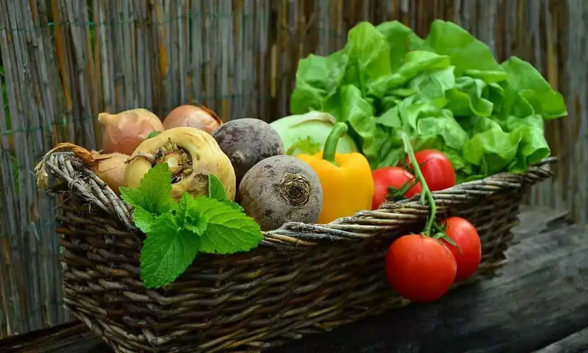 Govt unveils scheme for food irradiation units