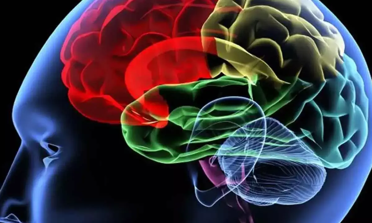 New MRI technique may help identify chronic concussion risk