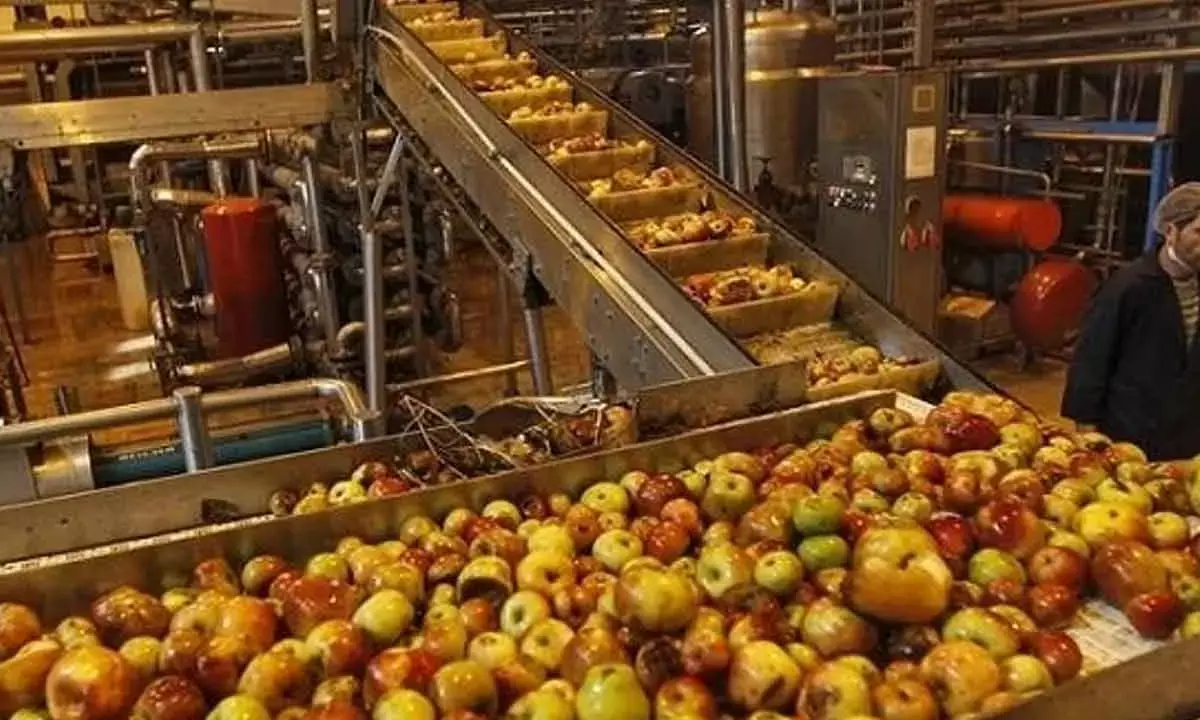 Govt sanctions Rs 10k cr for 92,549 food processing units