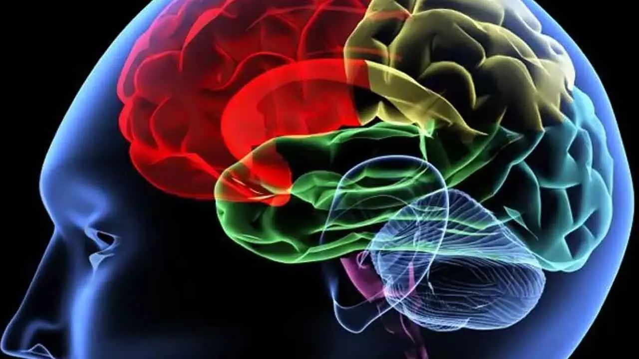 New MRI technique may help identify chronic concussion risk New MRI technique may help identify chronic concussion risk