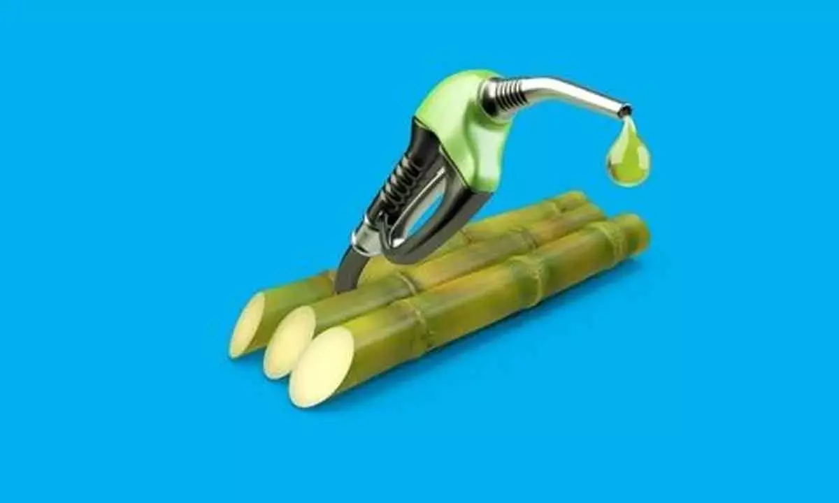 Biofuel has immense potential for sustainable future in India