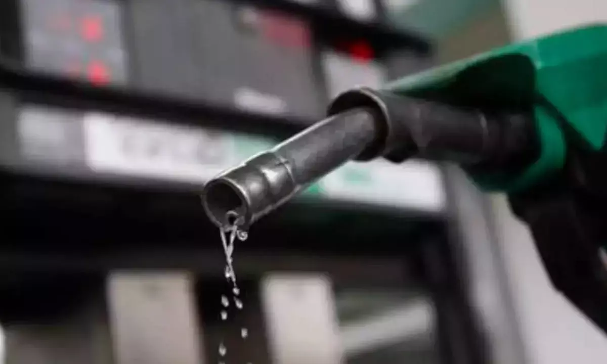 Govt plans 5% ethanol blending in petrol