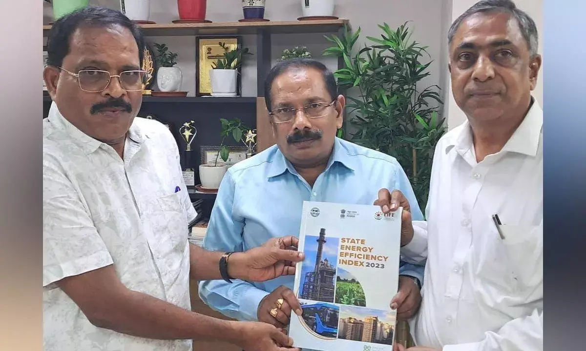 BEE Advisor (Southern India) A Chandra Sekhar Reddy with  AP Special Chief Secretary (Energy) K Vijayanand (Centre)