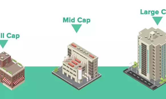 Large Cap Funds vs Small Cap Funds: Which scheme is better for you?