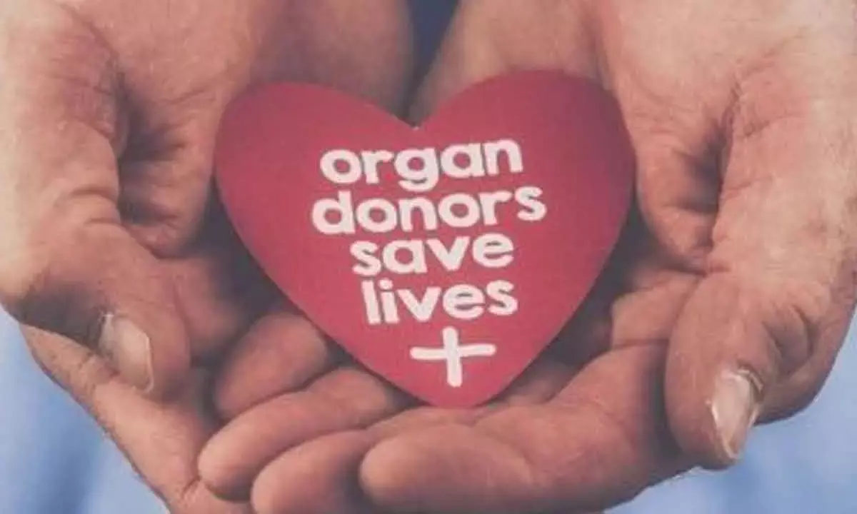 Lack of awareness behind severe organ wastage crisis