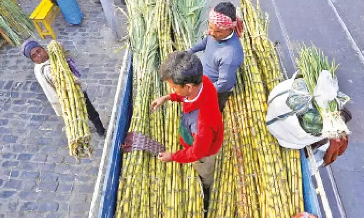 Centre considering ethanol price hike for 2024-25 season