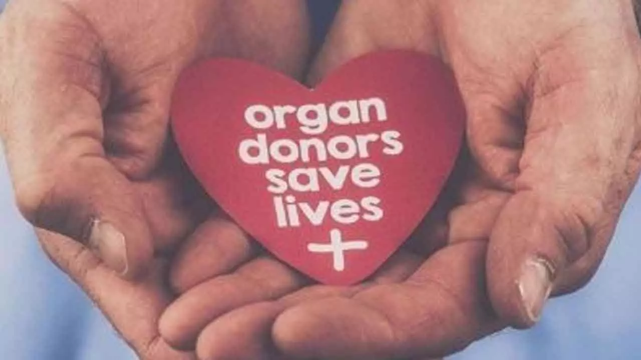 Lack of awareness behind severe organ wastage crisis Lack of awareness behind severe organ wastage crisis