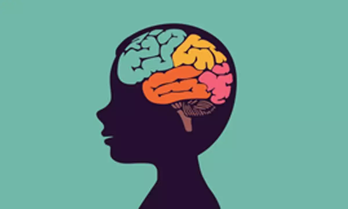 Research uncovers brain pathway linked to autism, cerebral palsy