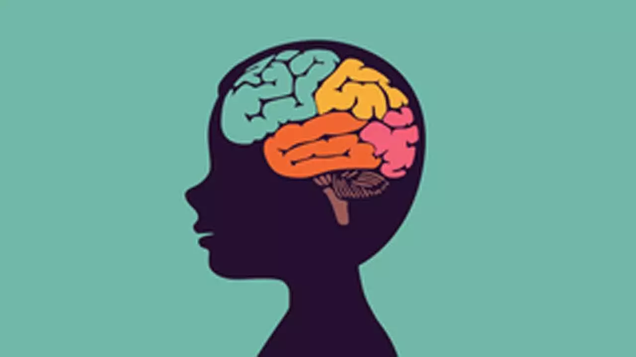 Research uncovers brain pathway linked to autism, cerebral palsy Research uncovers brain pathway linked to autism, cerebral palsy