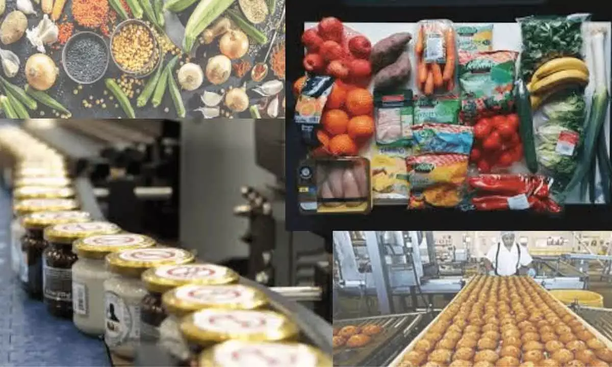 FDI in food processing space falls 30% in FY24