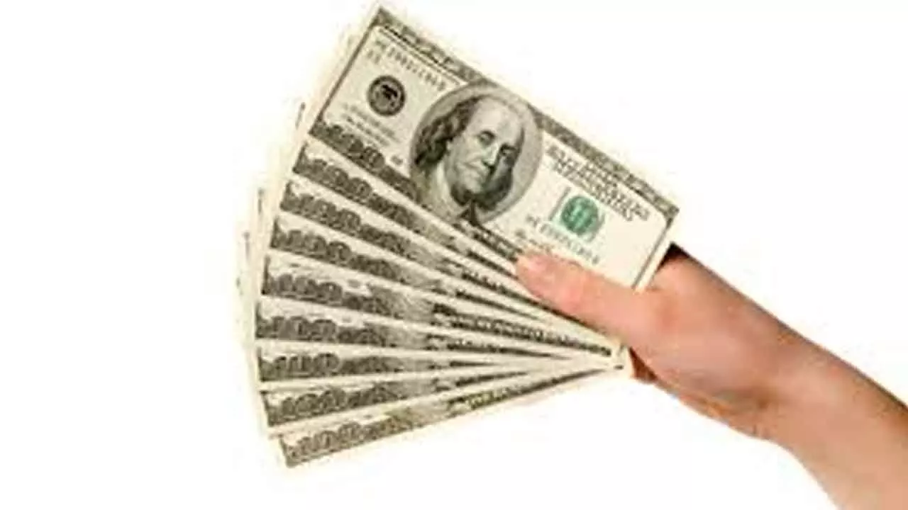 VC investors bet big on India VC investors bet big on India