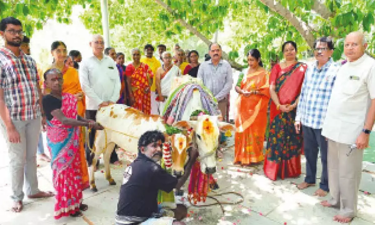 Fervour marks cow worship ceremony at Sri City temple