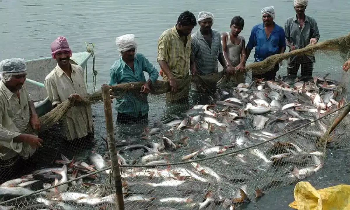 Rs 20k-cr fisheries projects get nod