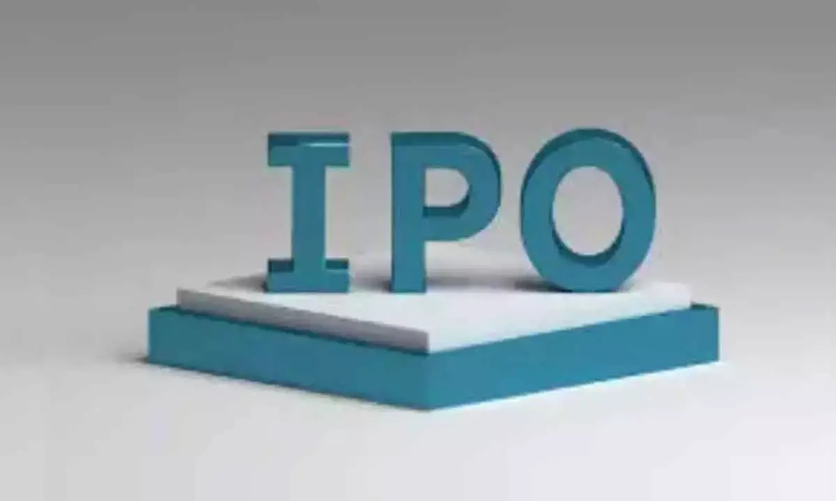 IPO market boom: India held highest share globally in first half of 2024