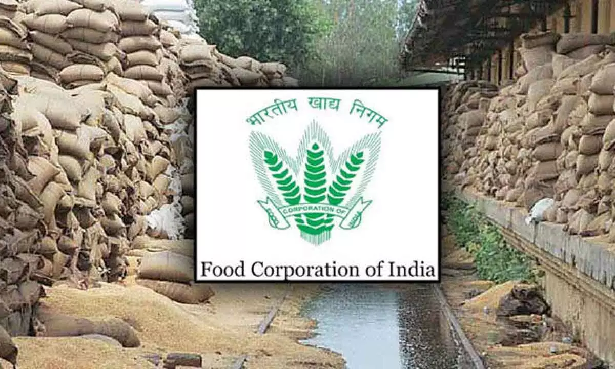 CAG flays FCI for over Rs 2,000-crore losses