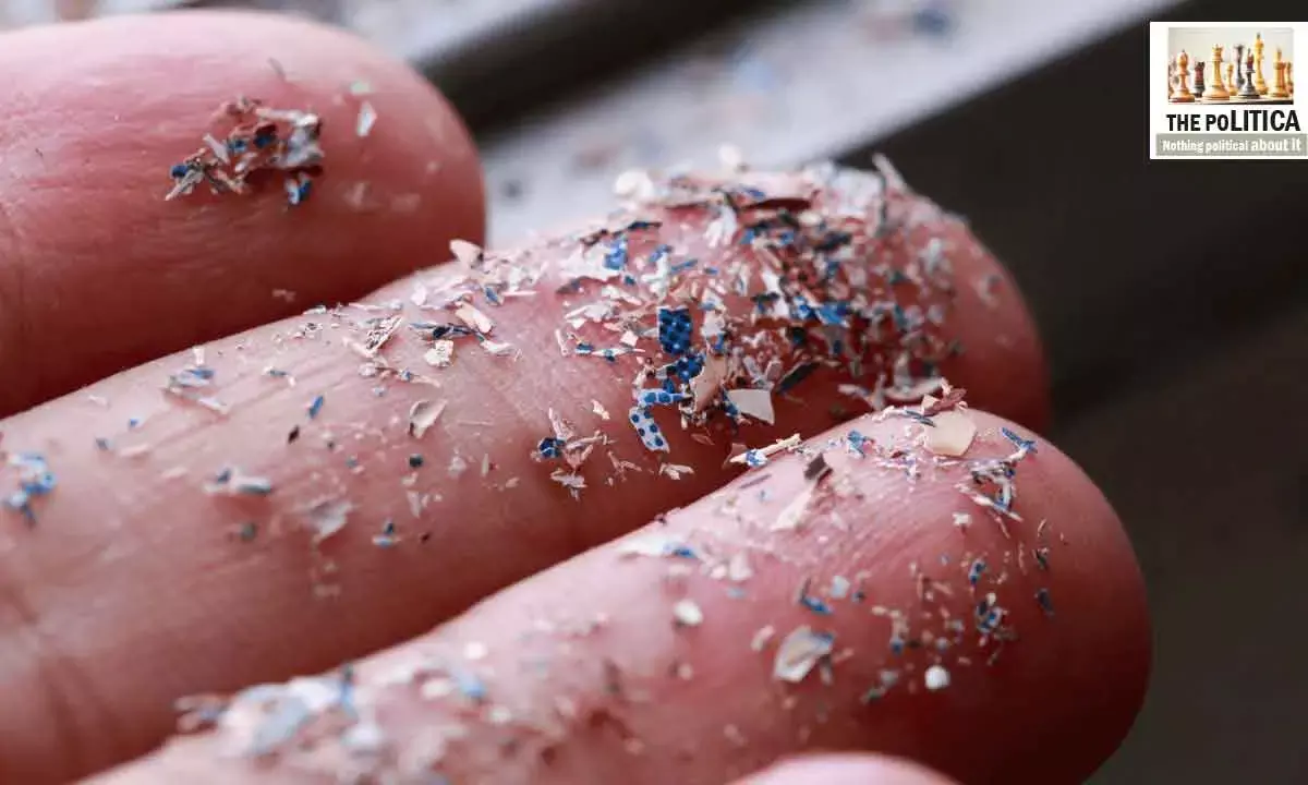 Microplastics, Mega Health Crisis