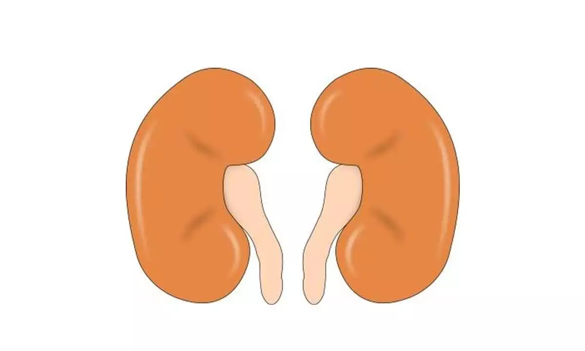 Dialysis not a feasible option for elderly with kidney failure: Study