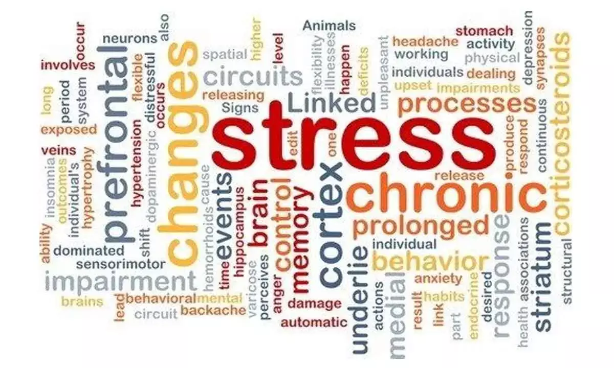 Go on a holiday to recuperate from the stresses of modern work environs; return afresh