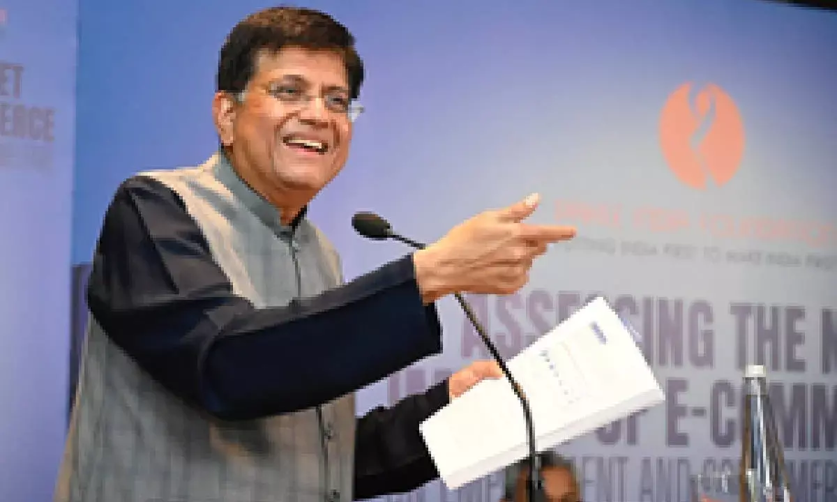 Piyush Goyal red flags predatory pricing by e-commerce giants