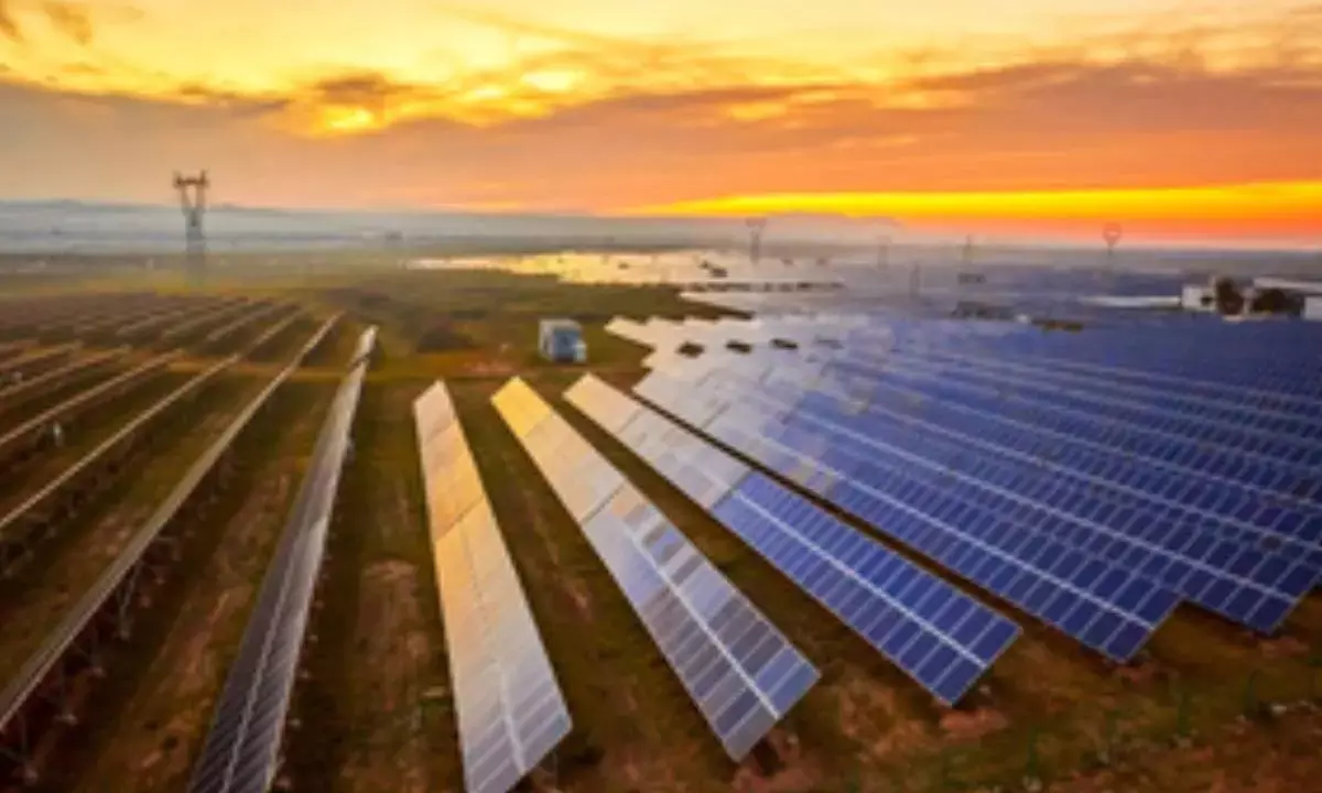 Australian govt approves plans for major outback solar farm