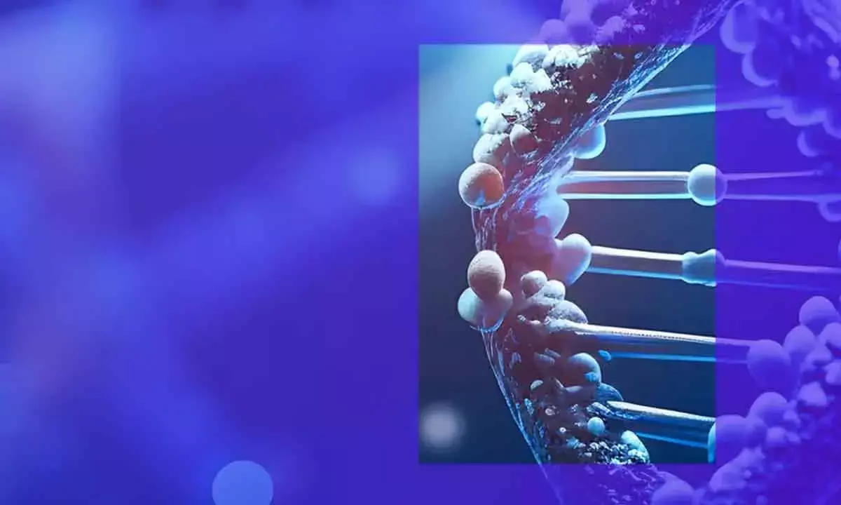 Industry leaders discuss future of life sciences