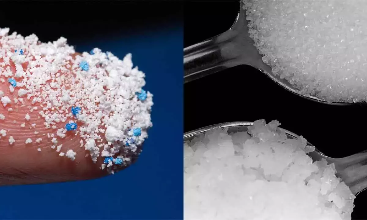 ICMR lacks info on risks of microplastics in food items