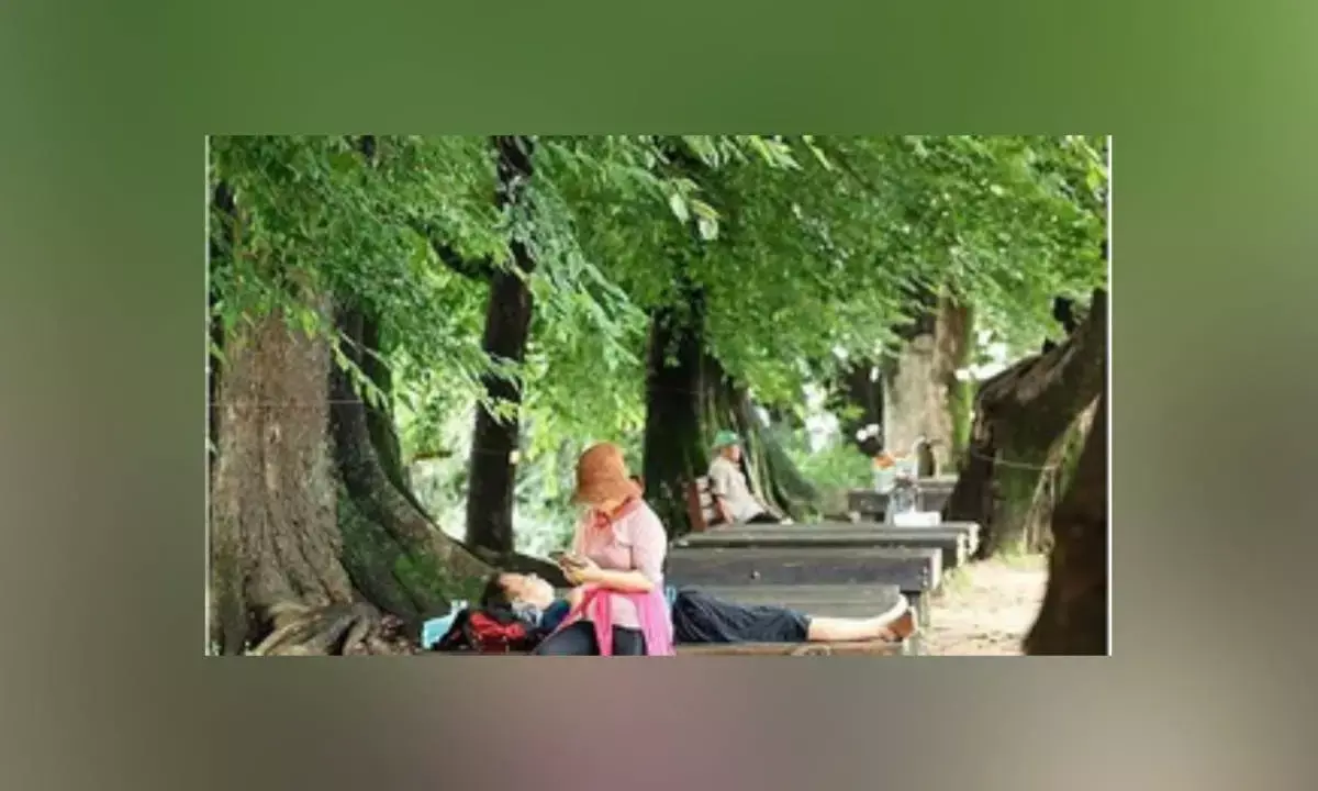 Number of heat-related patients in South Korea exceeds 3,000