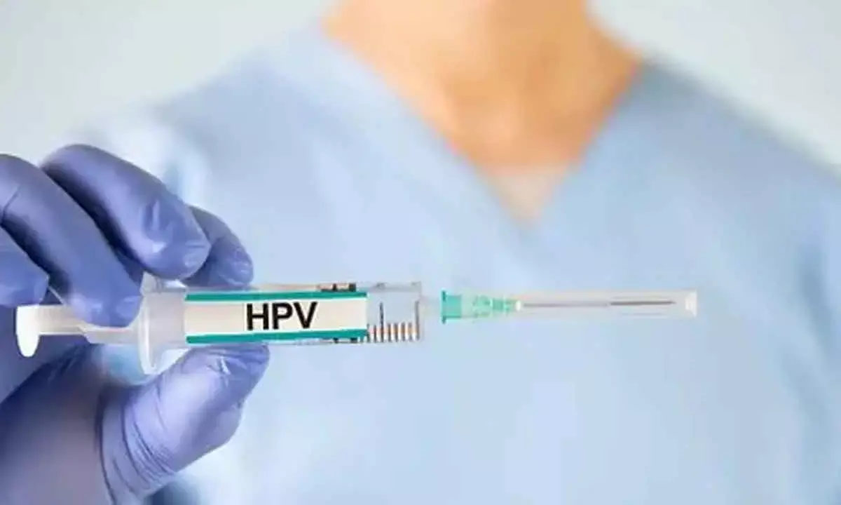 HPV can decrease sperm quantity, quality in men