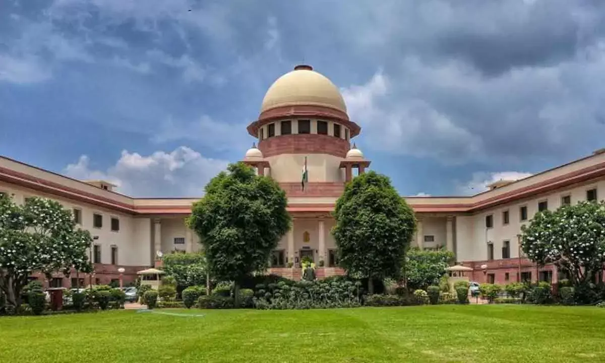 SC breather to office bearers at fraud-hit cos