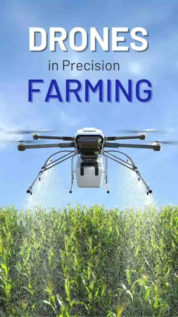 The Role of Drones in Precision Farming