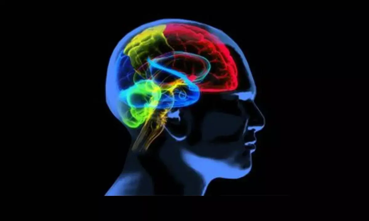 Why prostate cancer raises risk of Alzheimer’s