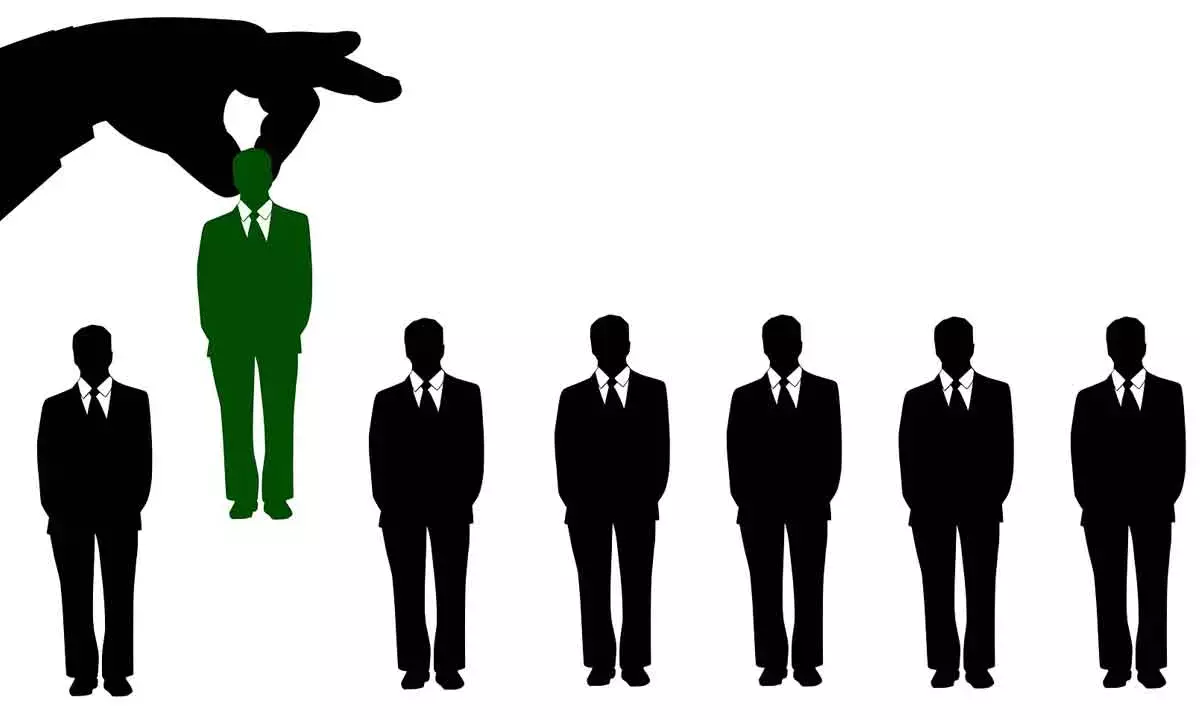 IT leads white-collar jobs