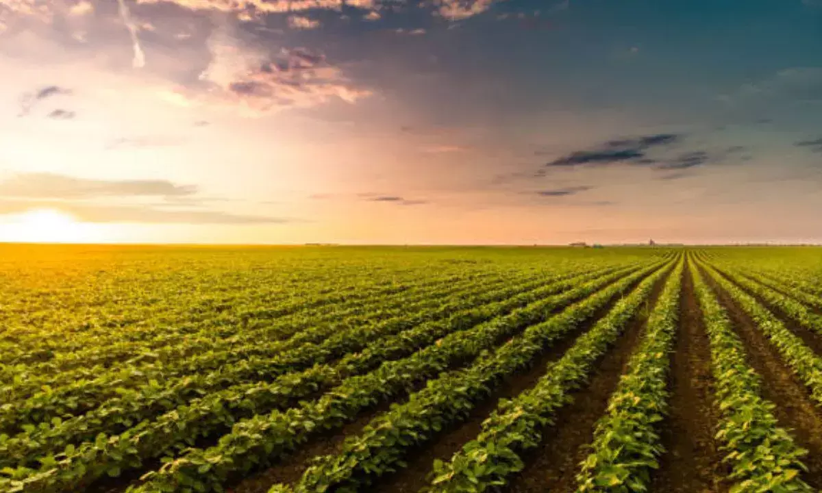 Mastercard Joins Gramophone to Enable Agri Input and Credit Access for 2 Million Farmers in India