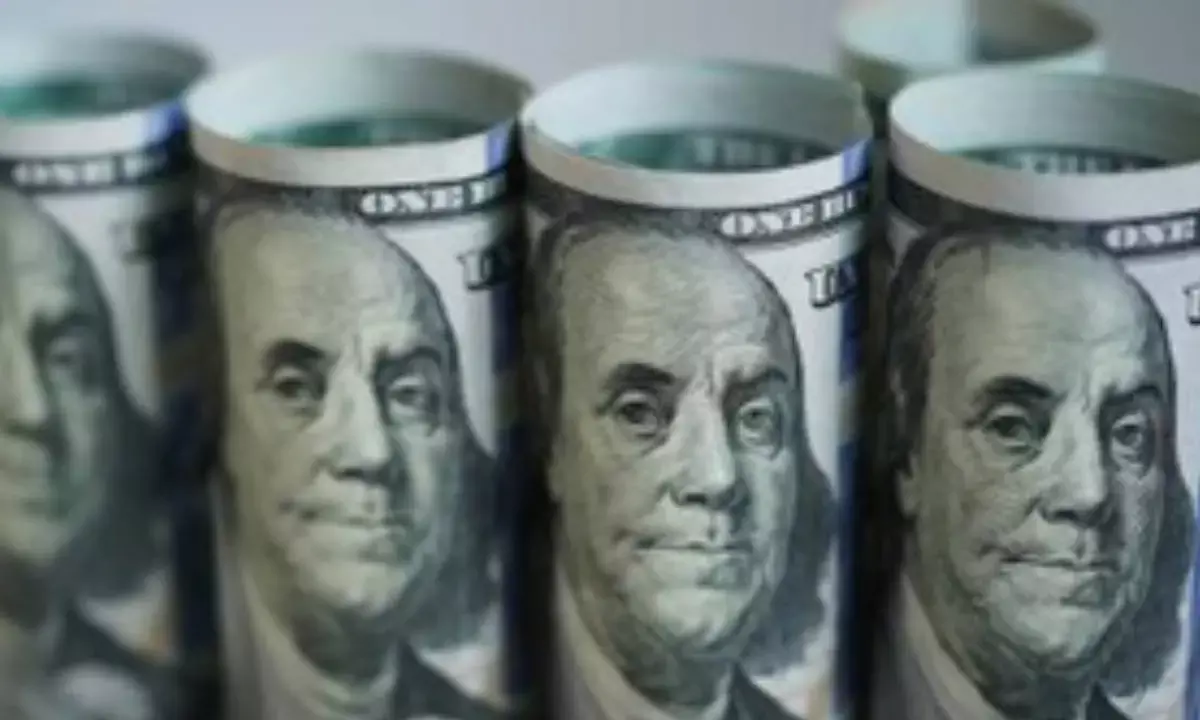 Record forex reserves to boost economy, promote domestic trade: Industry