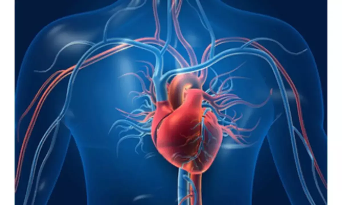 Simple blood test can predict 30-year heart disease risks for women