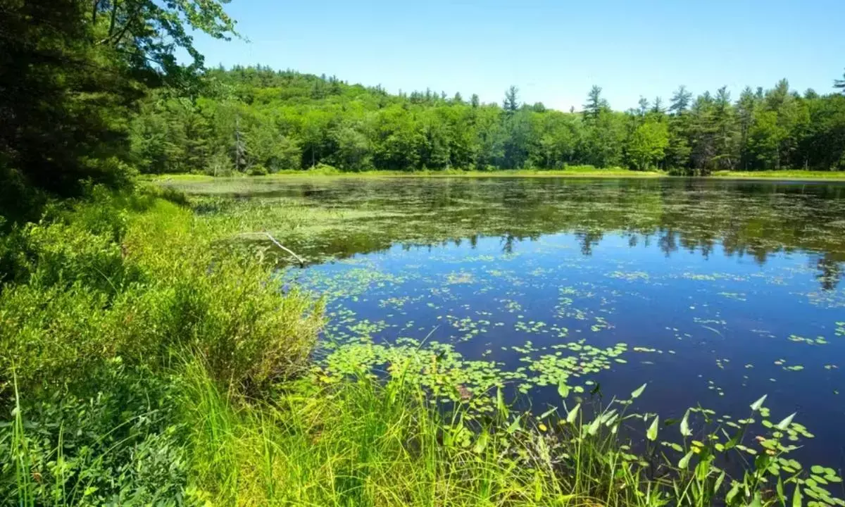 What is eastern equine encephalitis?