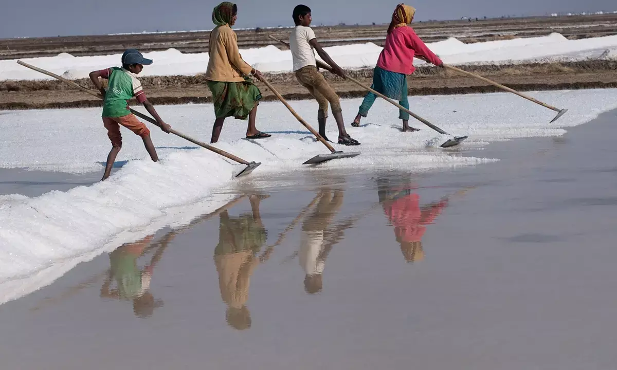 Centre amends guidelines for transfer of salt lands