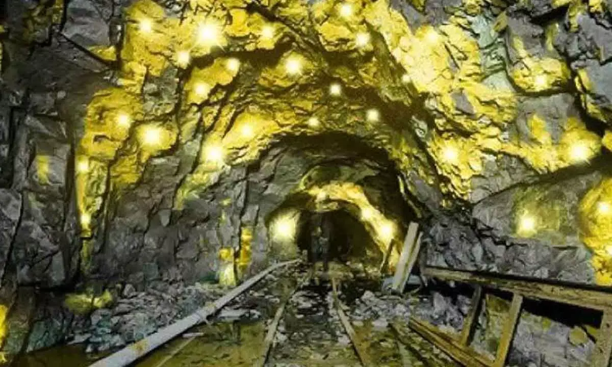 Deccan Gold Mines sees 750 kg output in FY26