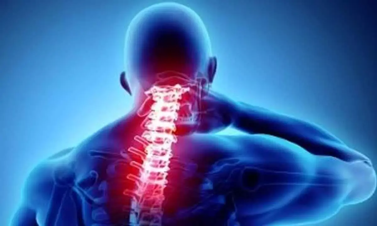 Spinal injuries becoming more common: Experts