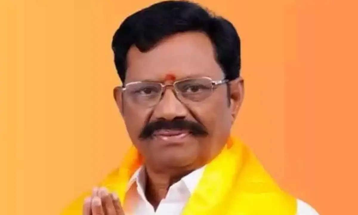 TDP suspends MLA over sexual assault allegations