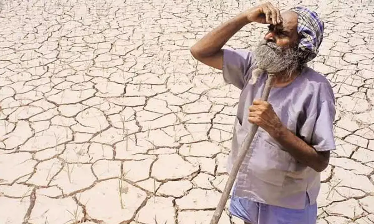 Why do corporates get haircuts while farmers face debt noose?