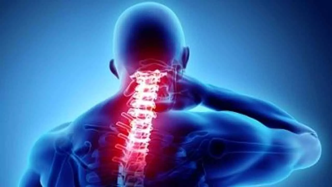 Spinal injuries becoming more common: Experts Spinal injuries becoming more common: Experts