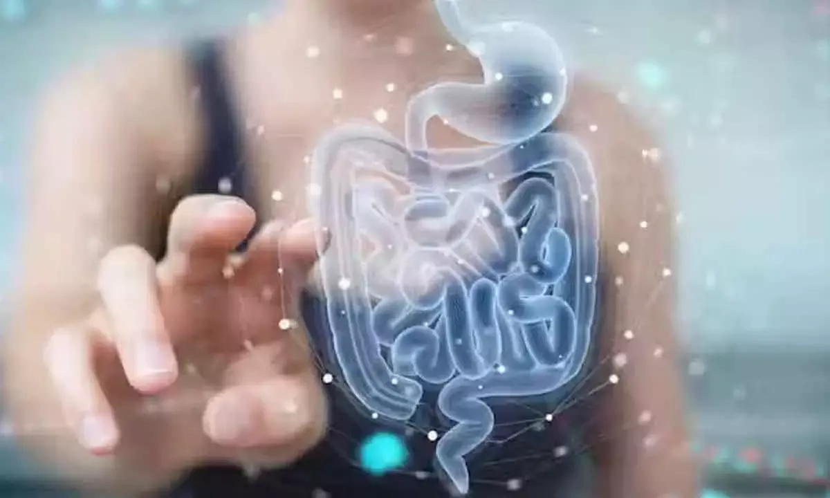 How the health of your gut microbiome can affect your skin