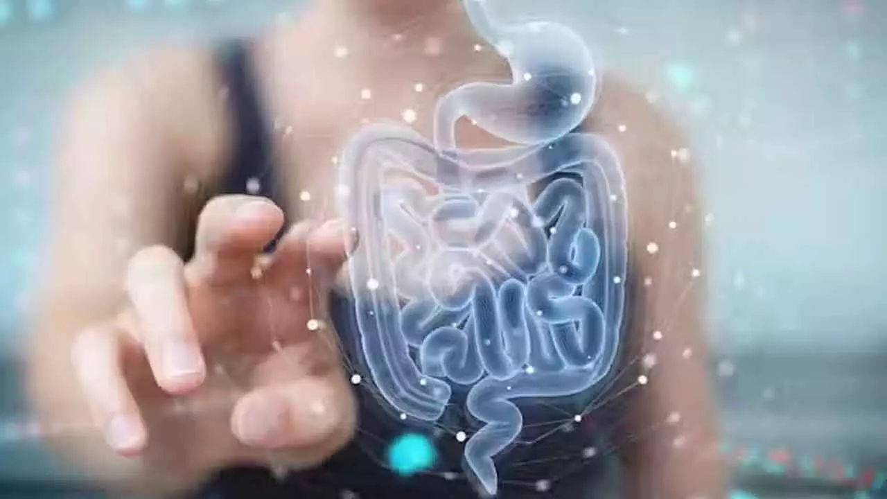 How the health of your gut microbiome can affect your skin How the health of your gut microbiome can affect your skin