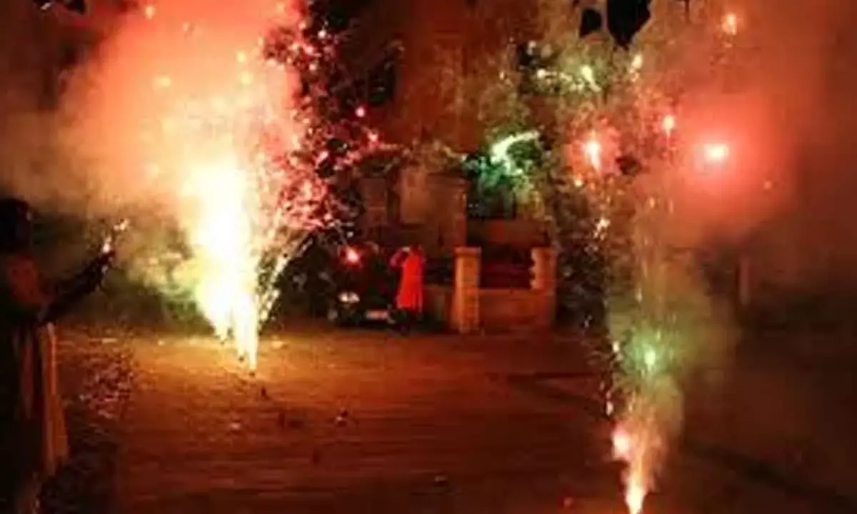 Delhi govt bans firecrackers till Jan 1