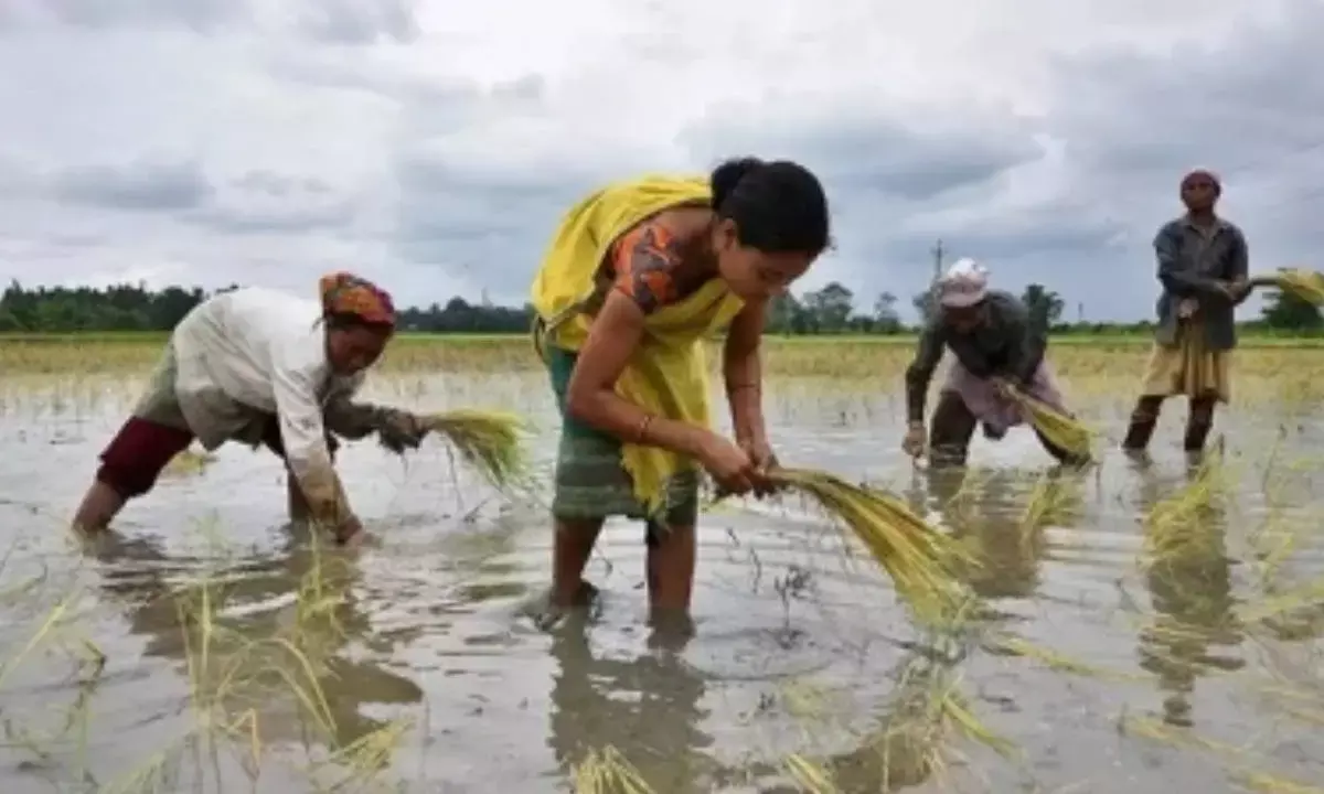 ‘Make In India’ Initiative To Help Agrochemicals Export Cross Rs 80,000 Cr In 4 Years