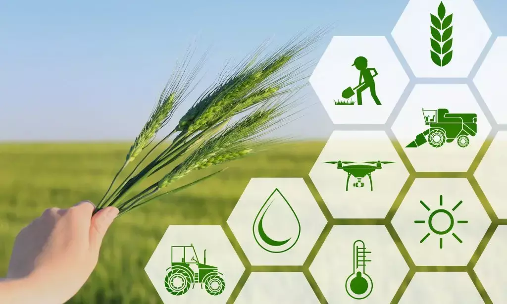 IFFCO invested Rs2k cr on nano fertilisers, expects demand to rise: MD