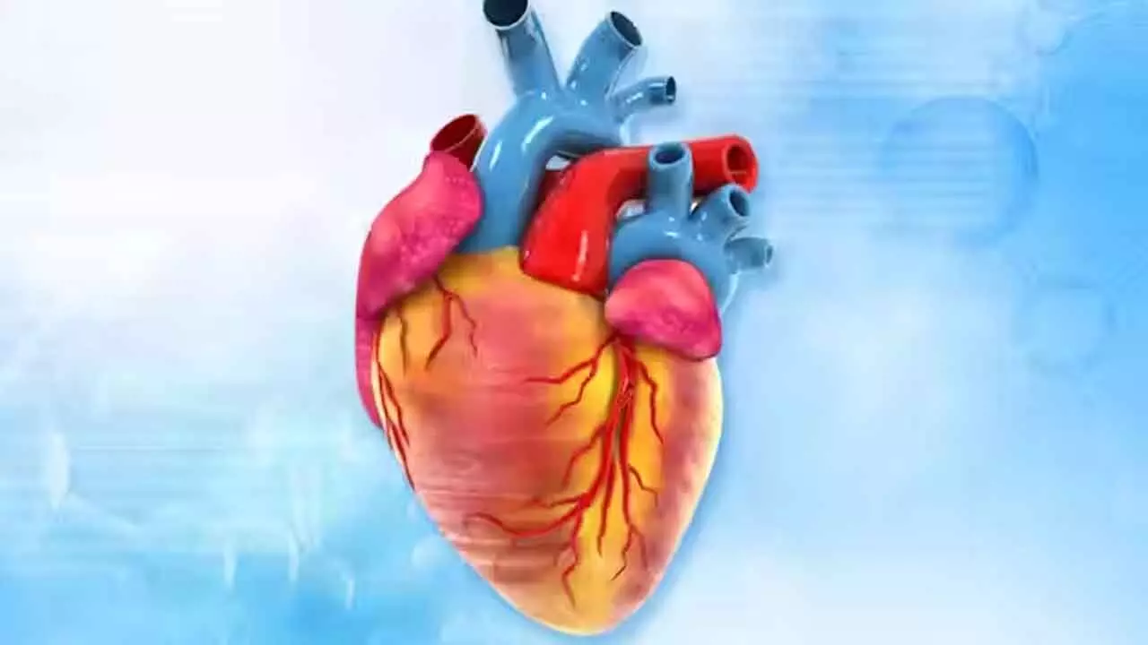 Whats The Difference Between A Heart Attack And Cardiac Arrest?