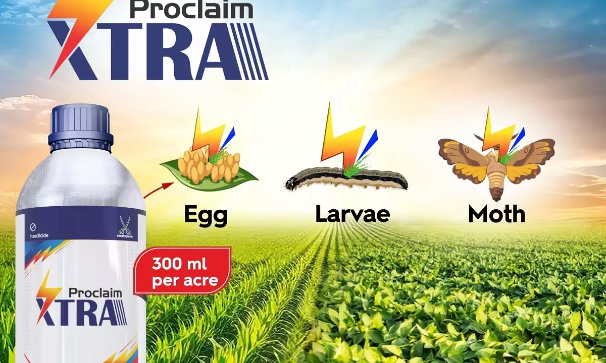 Crystal Crop Launches Proclaim XTRA - Advanced Insecticide for Maize and Soybean