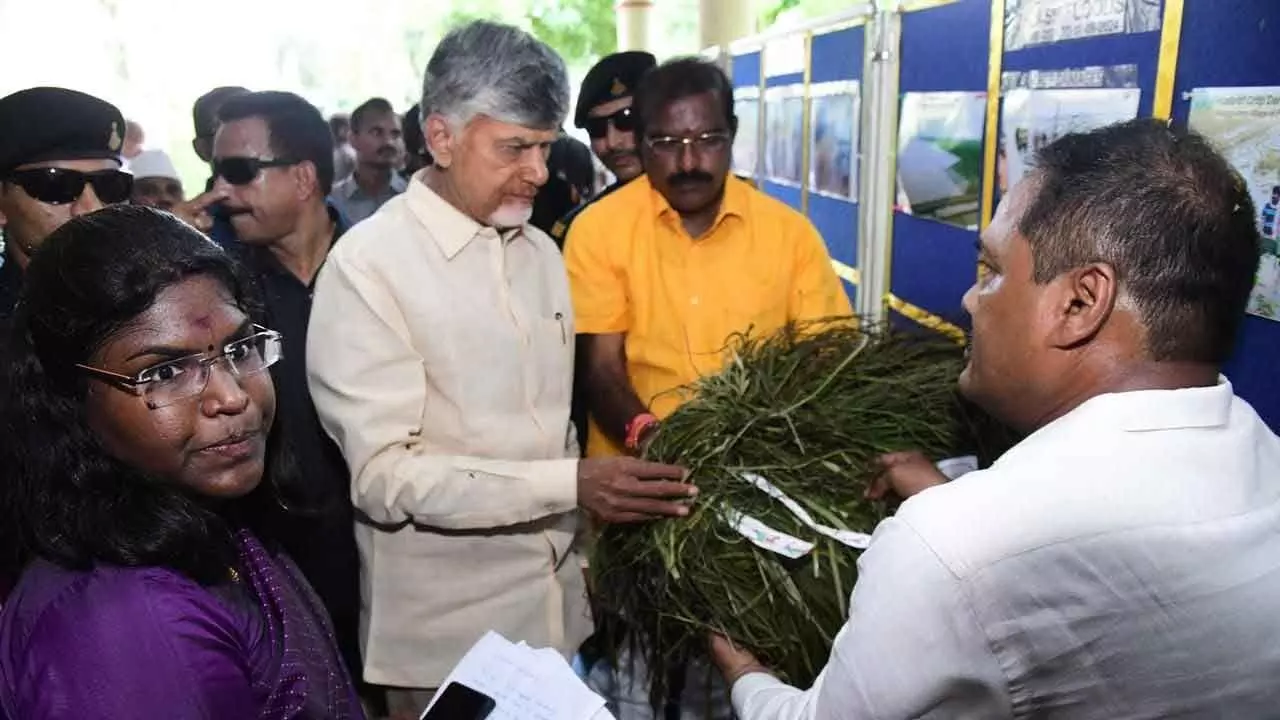 Naidu Conducts Aerial Survey Of Flood Damage Naidu Conducts Aerial Survey Of Flood Damage